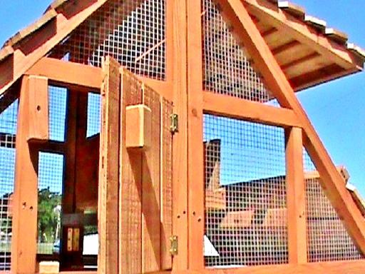 a portable chicken coop for 3-6 hens