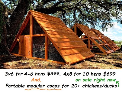 best sell chicken coop in the year 2019