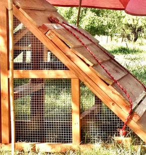portable chicken coop easily moved to new grass