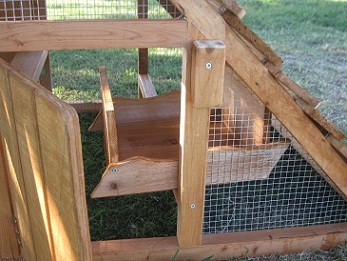 chicken coop with egg doors