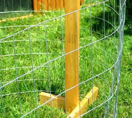 movable chicken fencing