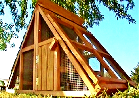 small chicken coop for sale