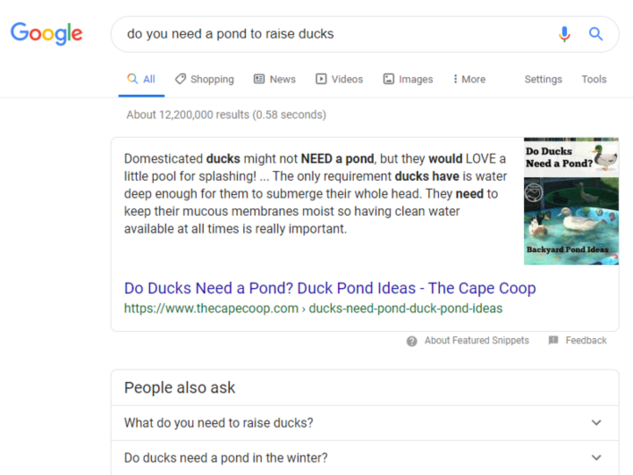 do you need a pond to raise ducks