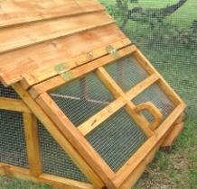 free range chicken coop