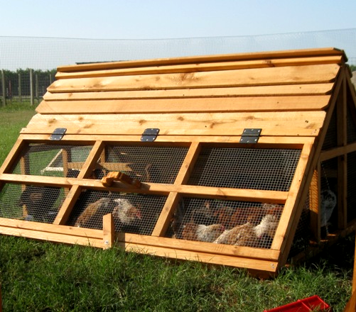 CHICKEN COOP SUMMER SALE Beautiful portable affordable chicken coop 