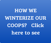 how we winterize our coops