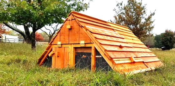 Beautiful modular chicken coop for 12 more chickens