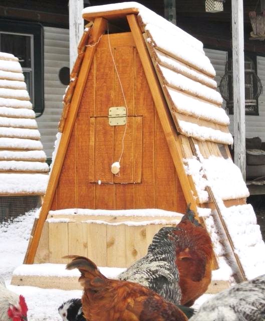 how to keep my chicken coop warm