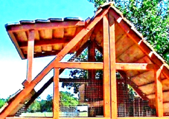 backyard chicken coops for sale
