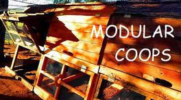 5 feet tall modular chicken coop kit