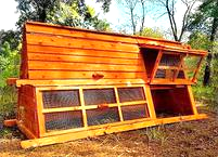 beautiful large 5 feet tall chicken coop for 8-24 hens
