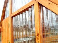 chicken coops for winter weather
